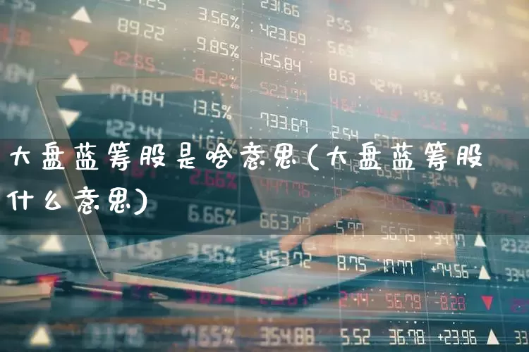 大盘蓝筹股是啥意思(大盘蓝筹股什么意思)_https://www.hhem8.com_科创板_第1张