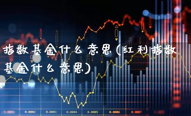 指数基金什么意思(红利指数基金什么意思)_https://www.hhem8.com_上交所_第1张