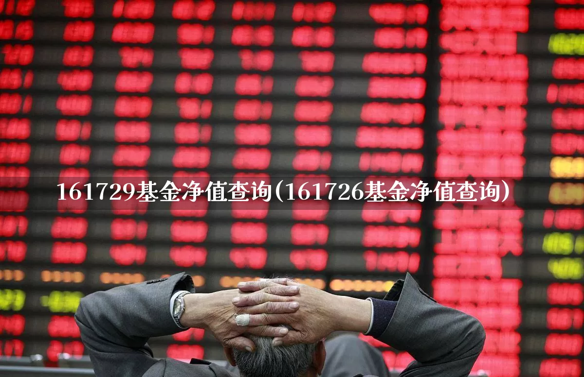 161729基金净值查询(161726基金净值查询)_https://www.hhem8.com_创业板_第1张