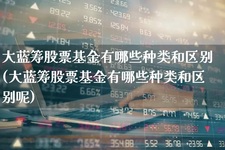 大蓝筹股票基金有哪些种类和区别(大蓝筹股票基金有哪些种类和区别呢)_https://www.hhem8.com_北交所_第1张