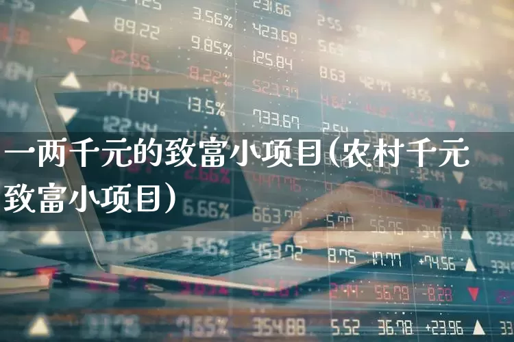 一两千元的致富小项目(农村千元致富小项目)_https://www.hhem8.com_创业板_第1张