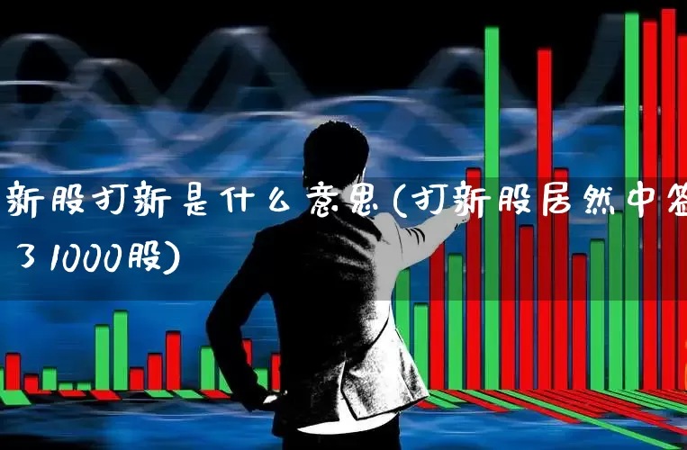 新股打新是什么意思(打新股居然中签了1000股)_https://www.hhem8.com_科创板_第1张