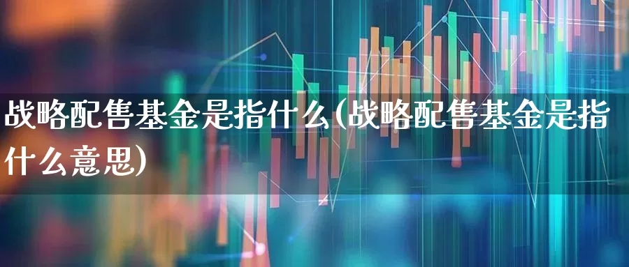 战略配售基金是指什么(战略配售基金是指什么意思)_https://www.hhem8.com_创业板_第1张