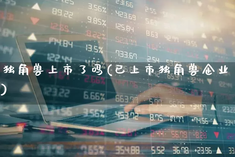 独角兽上市了吗(已上市独角兽企业)_https://www.hhem8.com_北交所_第1张