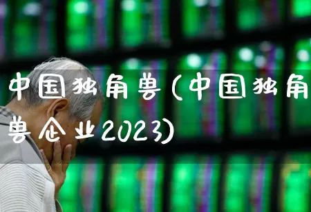中国独角兽(中国独角兽企业2023)_https://www.hhem8.com_科创板_第1张