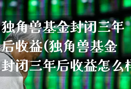 独角兽基金封闭三年后收益(独角兽基金封闭三年后收益怎么样)_https://www.hhem8.com_上交所_第1张