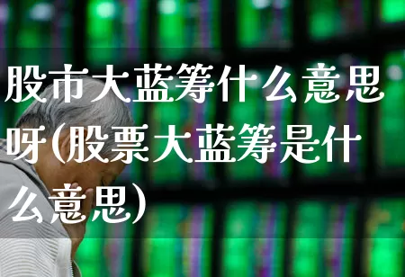 股市大蓝筹什么意思呀(股票大蓝筹是什么意思)_https://www.hhem8.com_上交所_第1张