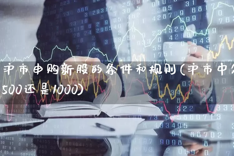 沪市申购新股的条件和规则(沪市中签是500还是1000)_https://www.hhem8.com_上交所_第1张