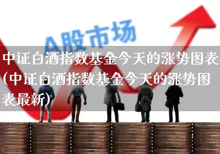 中证白酒指数基金今天的涨势图表(中证白酒指数基金今天的涨势图表最新)_https://www.hhem8.com_科创板_第1张