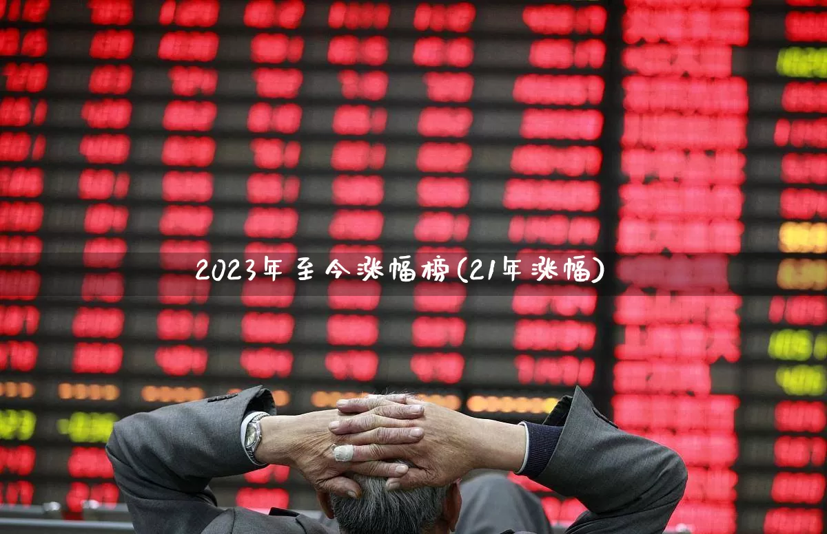 2023年至今涨幅榜(21年涨幅)_https://www.hhem8.com_科创板_第1张