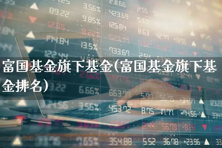 富国基金旗下基金(富国基金旗下基金排名)_https://www.hhem8.com_北交所_第1张