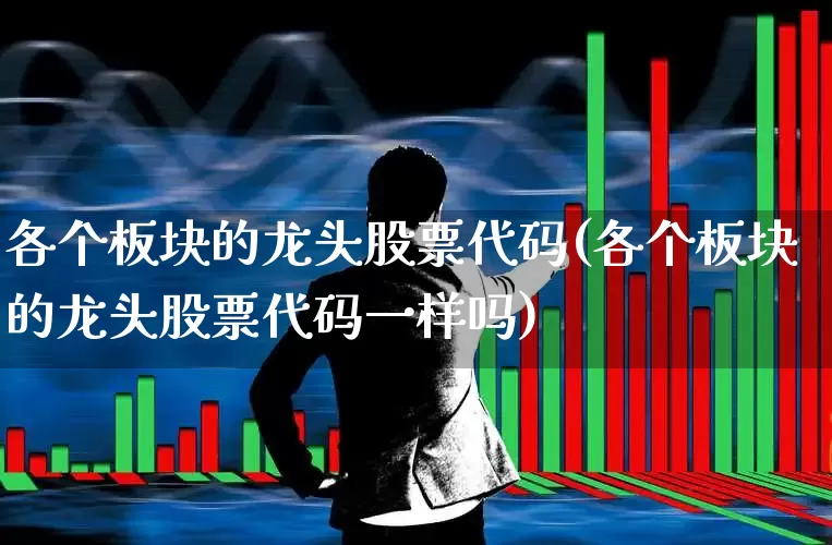 各个板块的龙头股票代码(各个板块的龙头股票代码一样吗)_https://www.hhem8.com_创业板_第1张