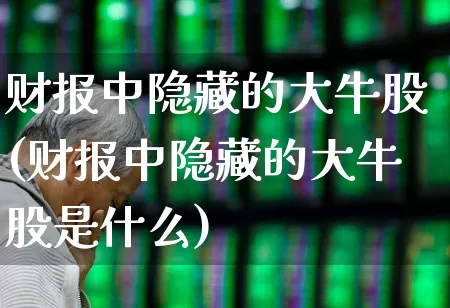 财报中隐藏的大牛股(财报中隐藏的大牛股是什么)_https://www.hhem8.com_科创板_第1张