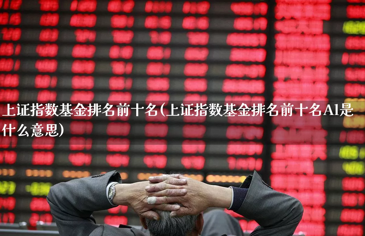 上证指数基金排名前十名(上证指数基金排名前十名Al是什么意思)_https://www.hhem8.com_科创板_第1张