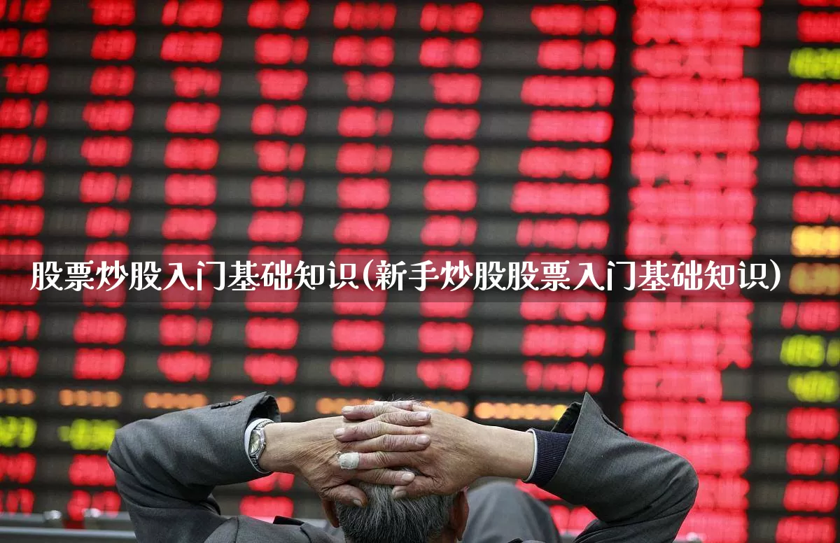 股票炒股入门基础知识(新手炒股股票入门基础知识)_https://www.hhem8.com_深交所_第1张