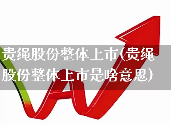 贵绳股份整体上市(贵绳股份整体上市是啥意思)_https://www.hhem8.com_深交所_第1张
