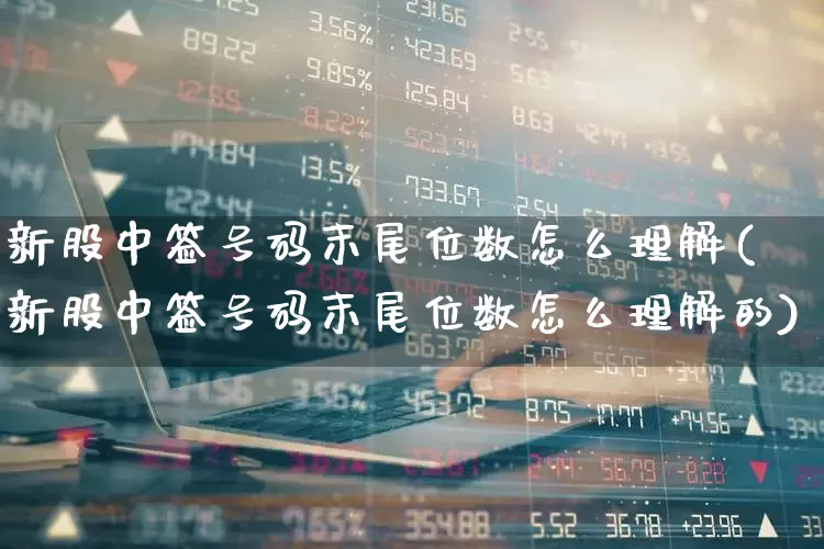新股中签号码末尾位数怎么理解(新股中签号码末尾位数怎么理解的)_https://www.hhem8.com_科创板_第1张