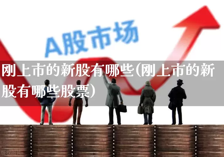 刚上市的新股有哪些(刚上市的新股有哪些股票)_https://www.hhem8.com_创业板_第1张
