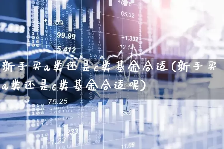 新手买a类还是c类基金合适(新手买a类还是c类基金合适呢)_https://www.hhem8.com_上交所_第1张