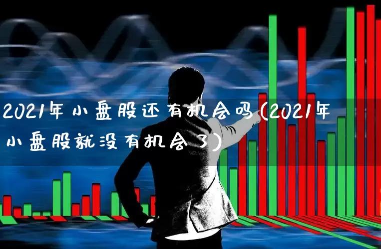 2021年小盘股还有机会吗(2021年小盘股就没有机会了)_https://www.hhem8.com_创业板_第1张
