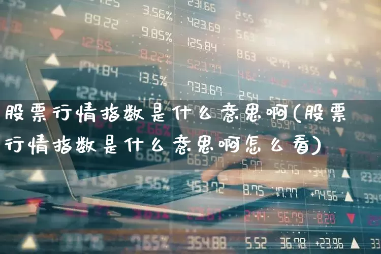 股票行情指数是什么意思啊(股票行情指数是什么意思啊怎么看)_https://www.hhem8.com_科创板_第1张