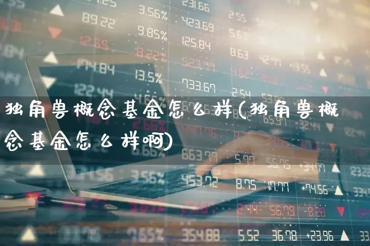 独角兽概念基金怎么样(独角兽概念基金怎么样啊)_https://www.hhem8.com_北交所_第1张