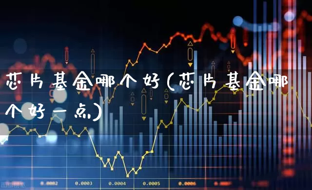 芯片基金哪个好(芯片基金哪个好一点)_https://www.hhem8.com_北交所_第1张