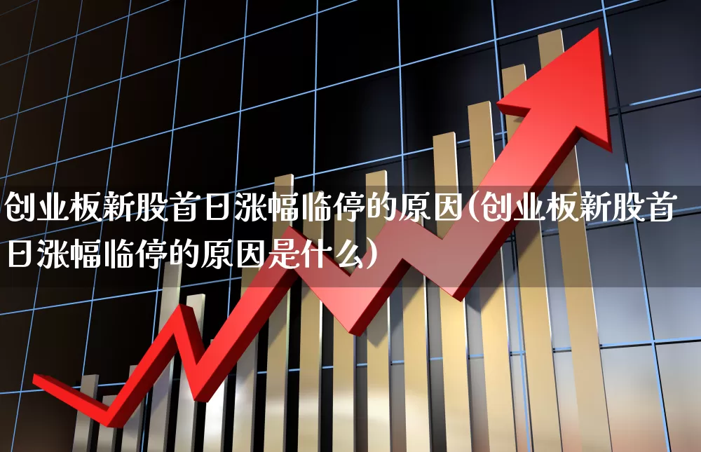 创业板新股首日涨幅临停的原因(创业板新股首日涨幅临停的原因是什么)_https://www.hhem8.com_北交所_第1张