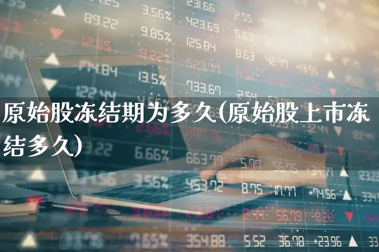 原始股冻结期为多久(原始股上市冻结多久)_https://www.hhem8.com_上交所_第1张