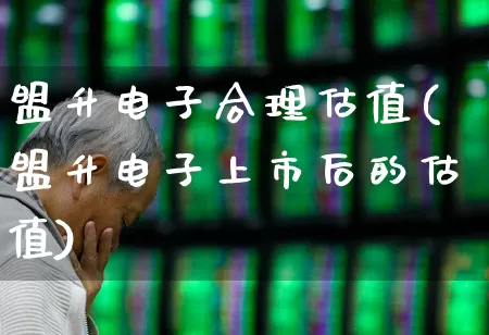 盟升电子合理估值(盟升电子上市后的估值)_https://www.hhem8.com_创业板_第1张