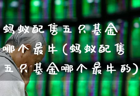 蚂蚁配售五只基金 哪个最牛(蚂蚁配售五只基金哪个最牛的)_https://www.hhem8.com_创业板_第1张