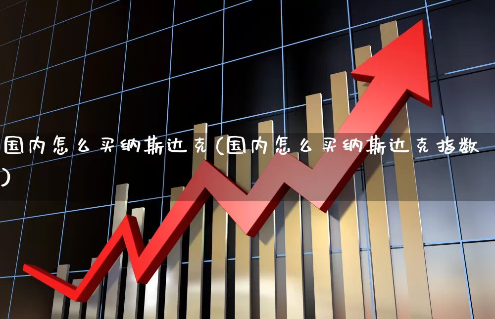 国内怎么买纳斯达克(国内怎么买纳斯达克指数)_https://www.hhem8.com_科创板_第1张