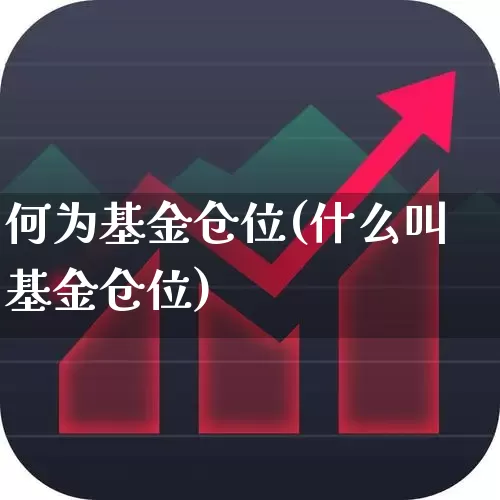 何为基金仓位(什么叫基金仓位)_https://www.hhem8.com_深交所_第1张