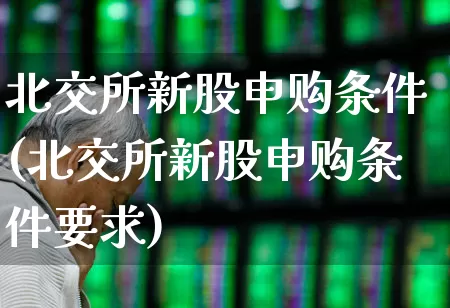北交所新股申购条件(北交所新股申购条件要求)_https://www.hhem8.com_上交所_第1张