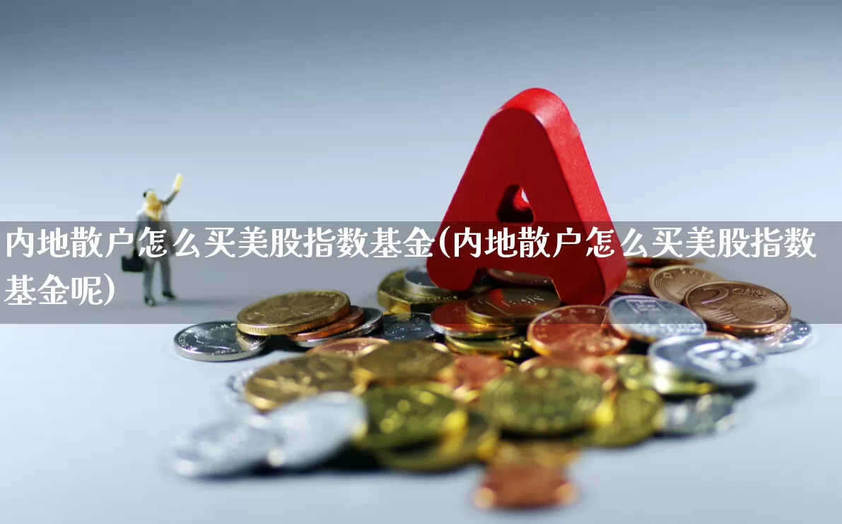 内地散户怎么买美股指数基金(内地散户怎么买美股指数基金呢)_https://www.hhem8.com_北交所_第1张