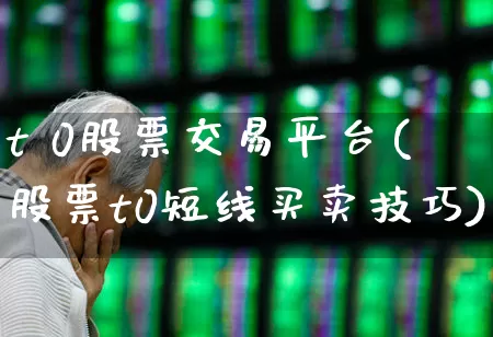 t 0股票交易平台(股票t0短线买卖技巧)_https://www.hhem8.com_科创板_第1张