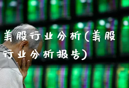 美股行业分析(美股行业分析报告)_https://www.hhem8.com_科创板_第1张