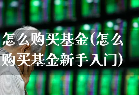 怎么购买基金(怎么购买基金新手入门)_https://www.hhem8.com_创业板_第1张