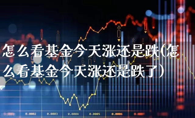 怎么看基金今天涨还是跌(怎么看基金今天涨还是跌了)_https://www.hhem8.com_北交所_第1张