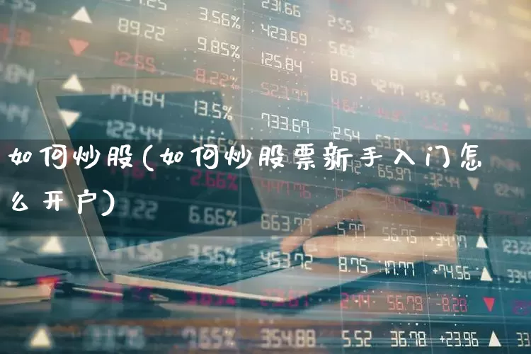 如何炒股(如何炒股票新手入门怎么开户)_https://www.hhem8.com_上交所_第1张