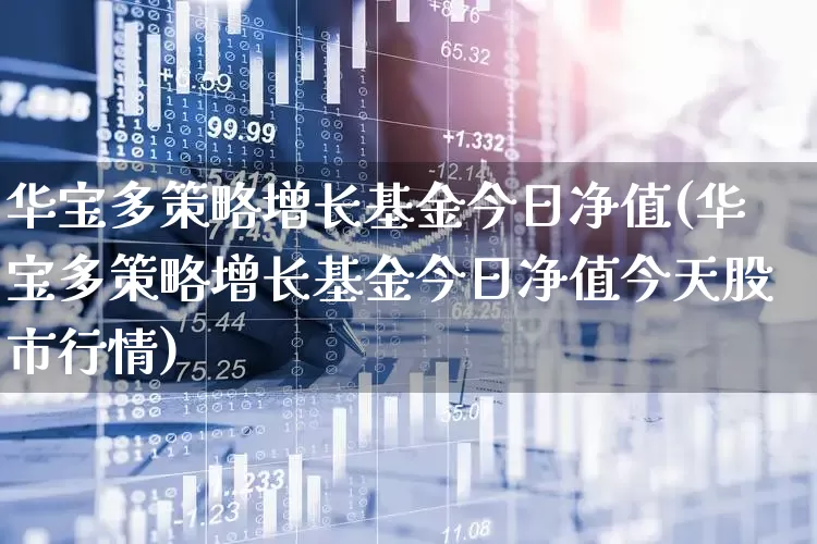 华宝多策略增长基金今日净值(华宝多策略增长基金今日净值今天股市行情)_https://www.hhem8.com_科创板_第1张