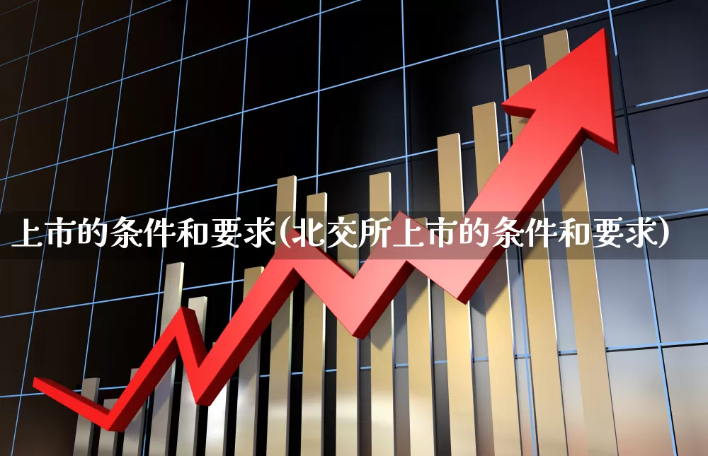 上市的条件和要求(北交所上市的条件和要求)_https://www.hhem8.com_深交所_第1张