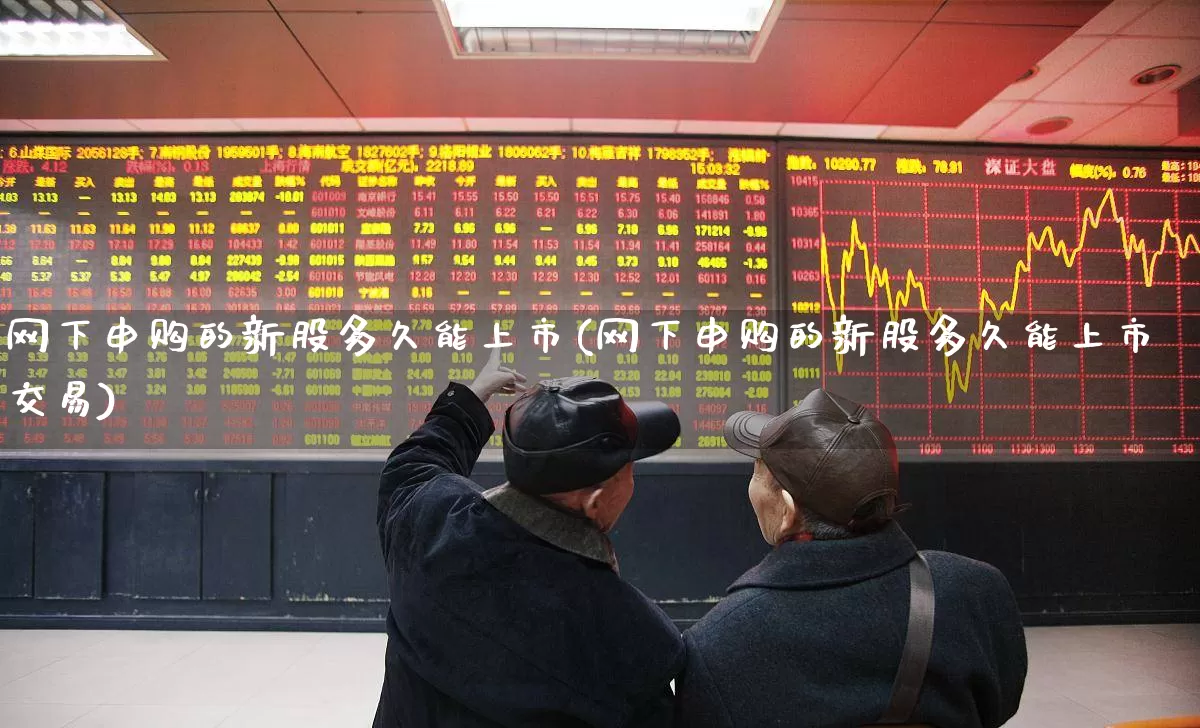 网下申购的新股多久能上市(网下申购的新股多久能上市交易)_https://www.hhem8.com_深交所_第1张
