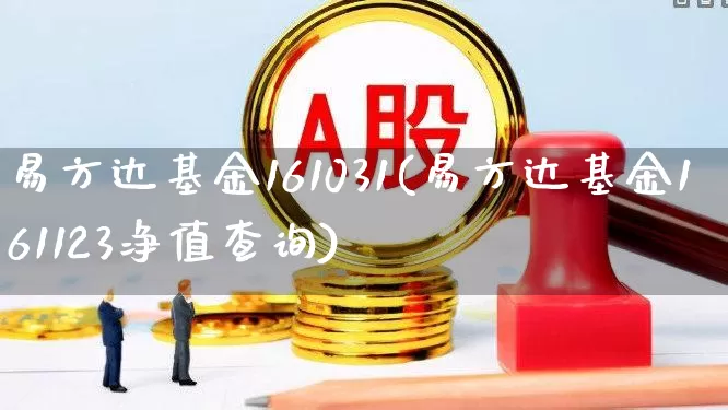 易方达基金161031(易方达基金161123净值查询)_https://www.hhem8.com_深交所_第1张