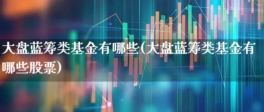 大盘蓝筹类基金有哪些(大盘蓝筹类基金有哪些股票)_https://www.hhem8.com_创业板_第1张