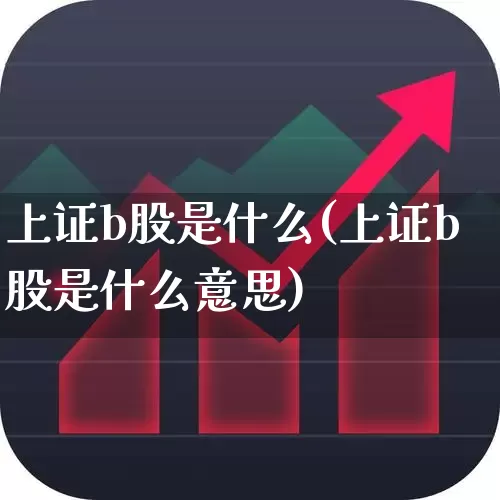 上证b股是什么(上证b股是什么意思)_https://www.hhem8.com_科创板_第1张