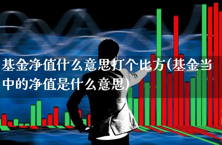 基金净值什么意思打个比方(基金当中的净值是什么意思)_https://www.hhem8.com_深交所_第1张