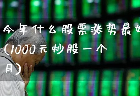 今年什么股票涨势最好(1000元炒股一个月)_https://www.hhem8.com_科创板_第1张