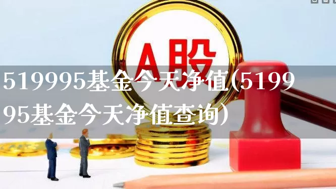 519995基金今天净值(519995基金今天净值查询)_https://www.hhem8.com_科创板_第1张