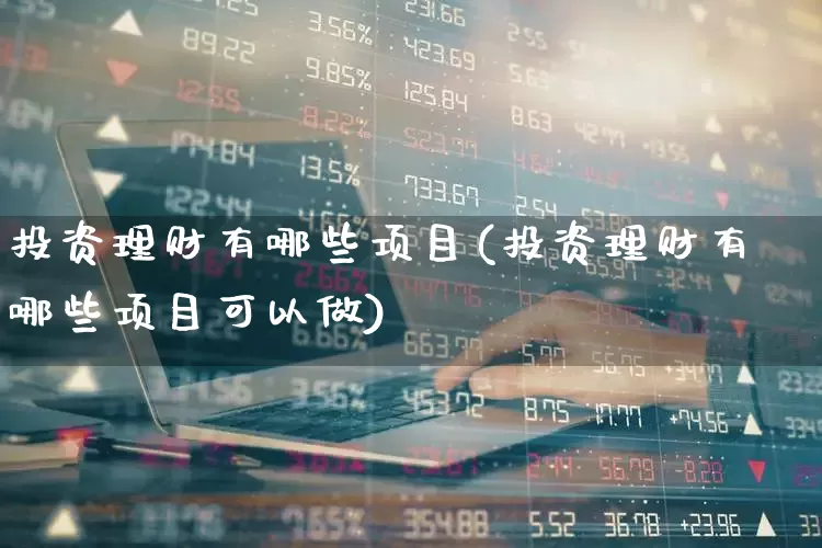 投资理财有哪些项目(投资理财有哪些项目可以做)_https://www.hhem8.com_深交所_第1张